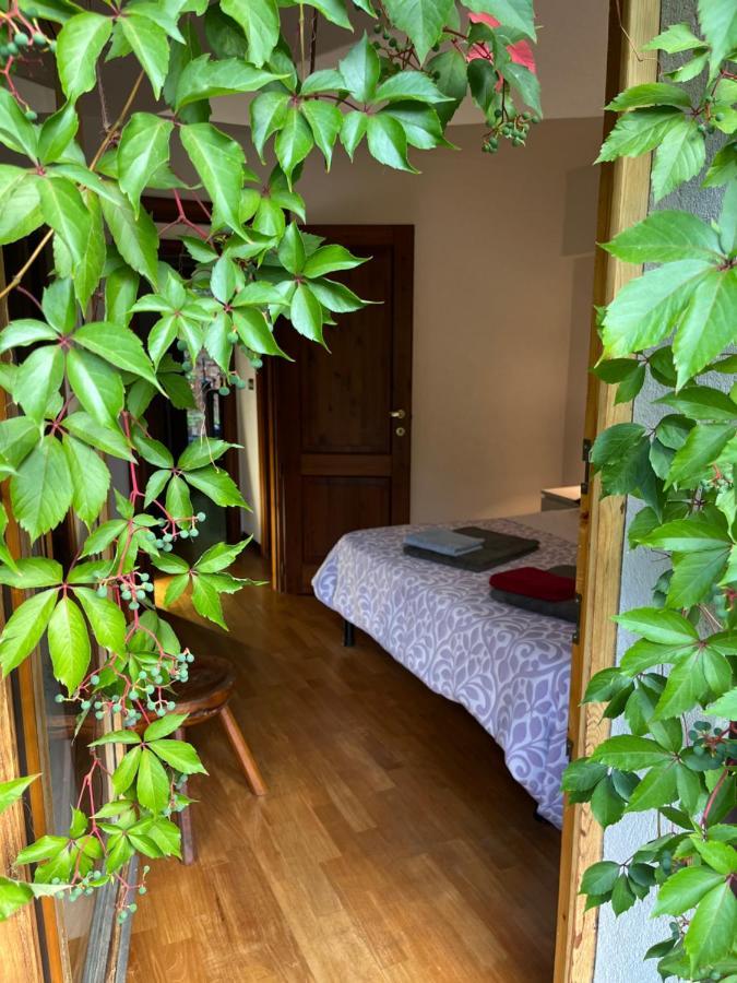 Chalet Blanc "Le Flocon" Courmayeur Ngoại thất bức ảnh