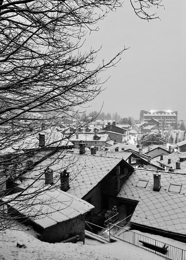 Chalet Blanc "Le Flocon" Courmayeur Ngoại thất bức ảnh