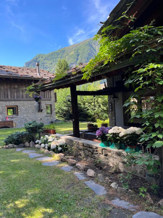 Chalet Blanc "Le Flocon" Courmayeur Ngoại thất bức ảnh